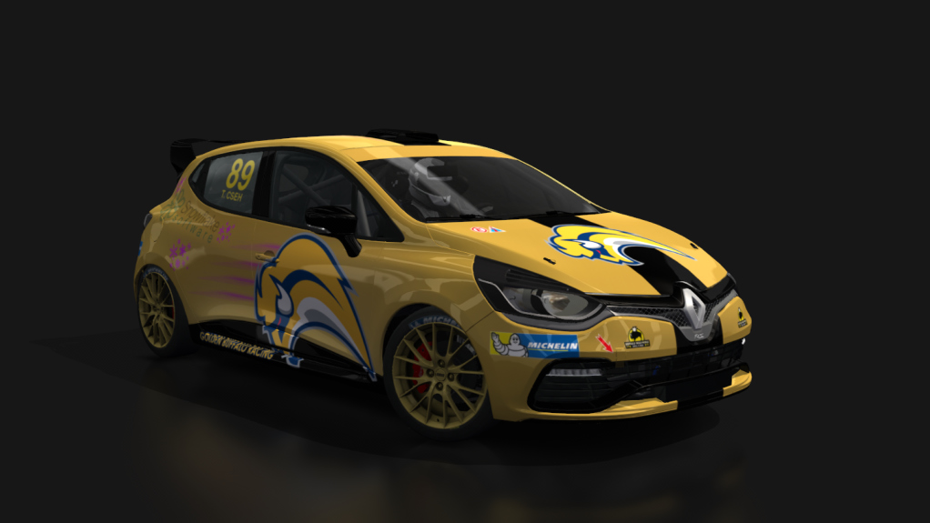 Clio CUP 2019, skin 89