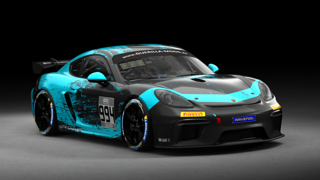 Porsche 718 Cayman GT4 Clubsport, skin rm_gt4_european_series_fictional_porsche_motorsport_teal_994