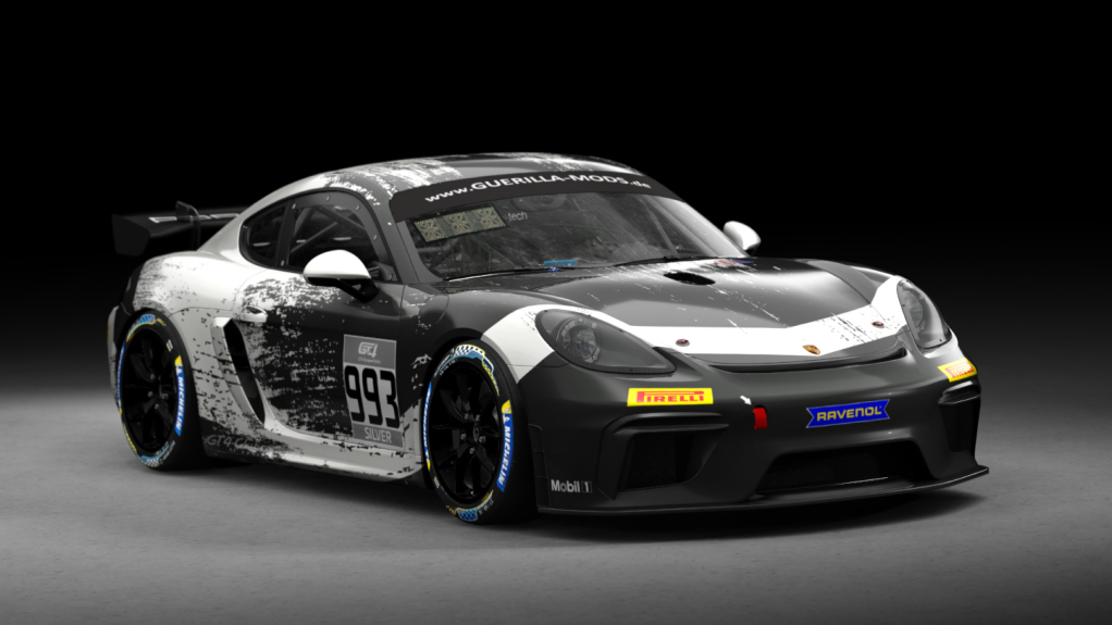 Porsche 718 Cayman GT4 Clubsport, skin rm_gt4_european_series_fictional_porsche_motorsport_white_993