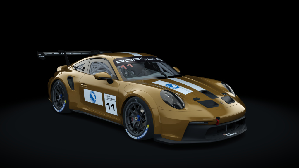 Porsche 911 GT3 Cup 2021, skin 11_cup_braun_weiss