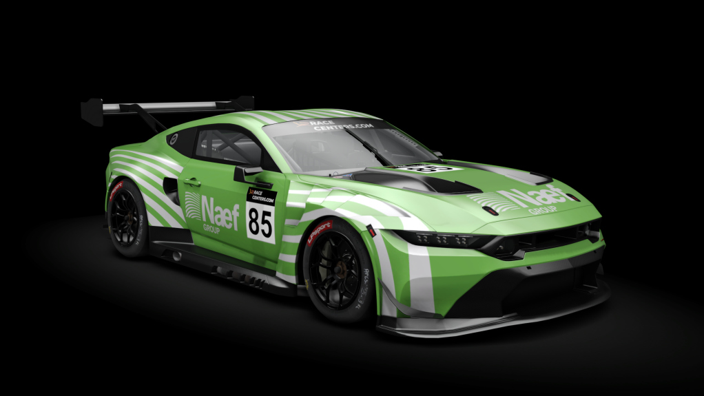 RCC FGT GT3, skin 2025_RCC_Naef_Group_85